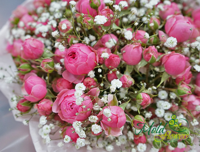 Букет из кустовых розовых роз и гипсофилы Фото
